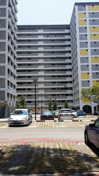 Blk 55 Pipit Road (Geylang), HDB 4 Rooms #181829812